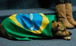 O “complexo de vira lata” e o entreguismo nacional